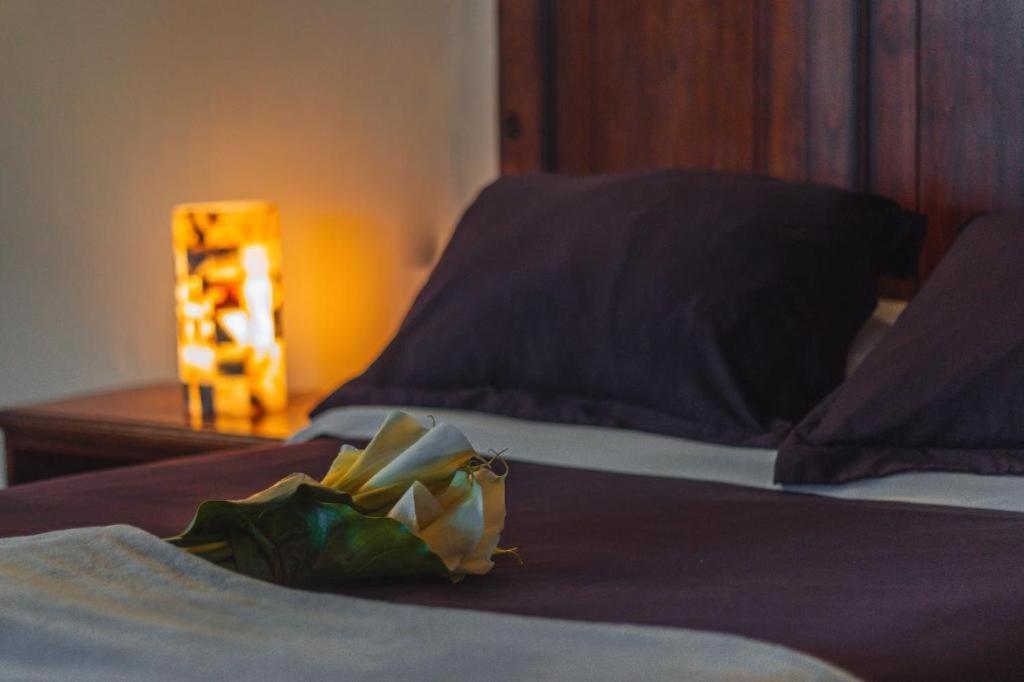 Cortijo La Casona & Bungalow Al Pie De La Montana San Cristóbal de Las Casas Εξωτερικό φωτογραφία