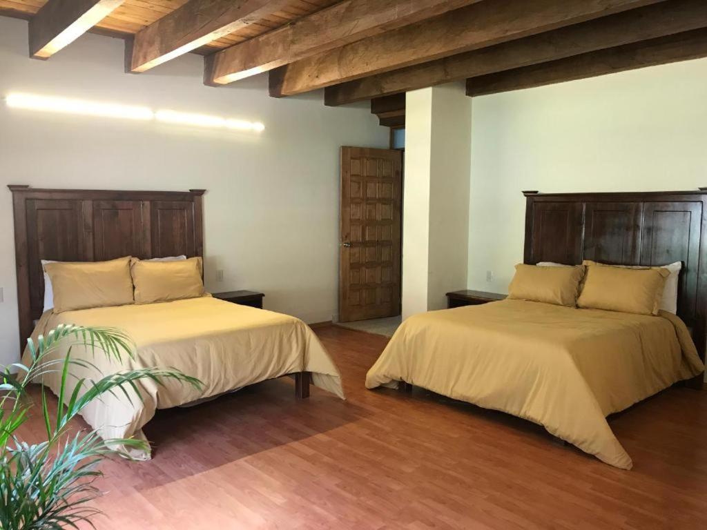 Cortijo La Casona & Bungalow Al Pie De La Montana San Cristóbal de Las Casas Εξωτερικό φωτογραφία